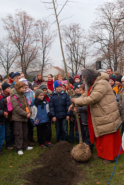 Planting a Peace Tree in Prague Planting a Peace Tree in Prague