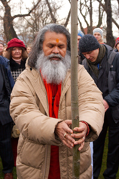 Planting a Peace Tree in Prague Planting a Peace Tree in Prague