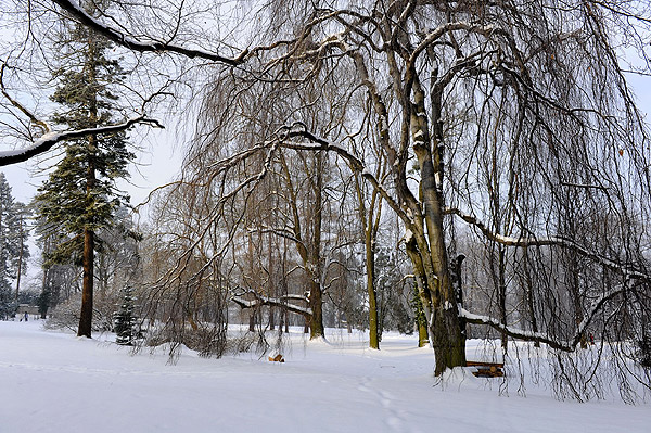 Winter in Strilky Winter in Strilky