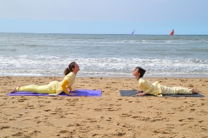 Yoga in Daily Life - The Netherlands